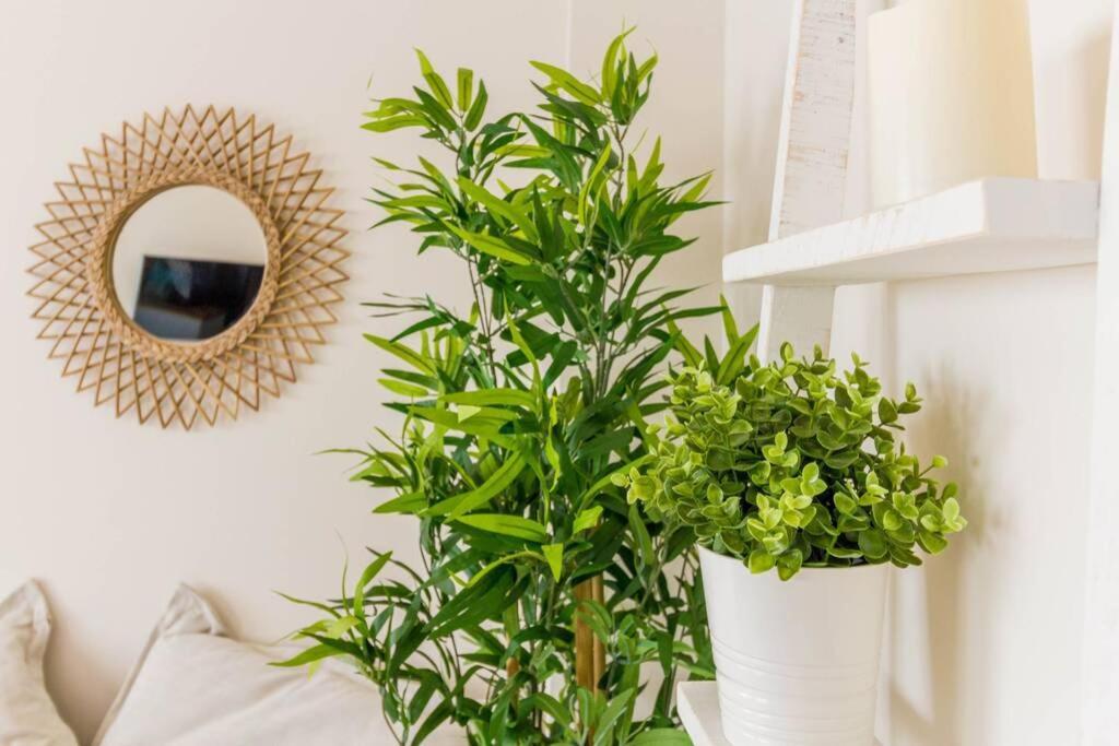 Cosy & Downtown Flat Valencia. Apartment Bagian luar foto